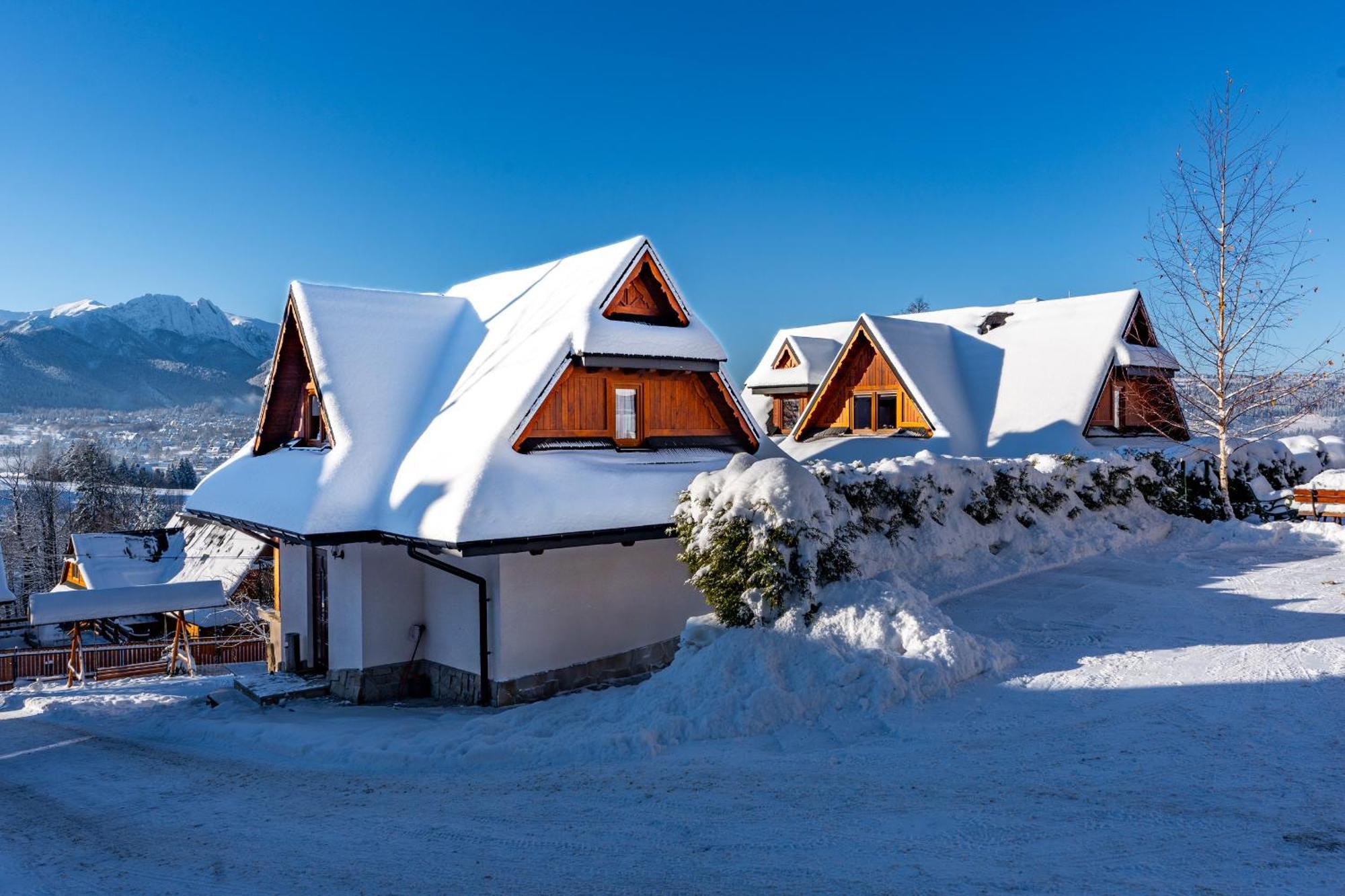 Hole Villa Zakopane Ngoại thất bức ảnh